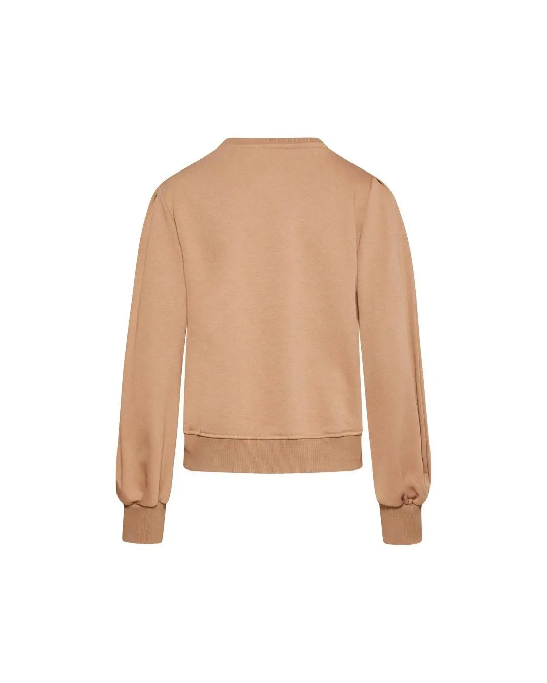 Felpa girocollo CAMMELLO IRONICA