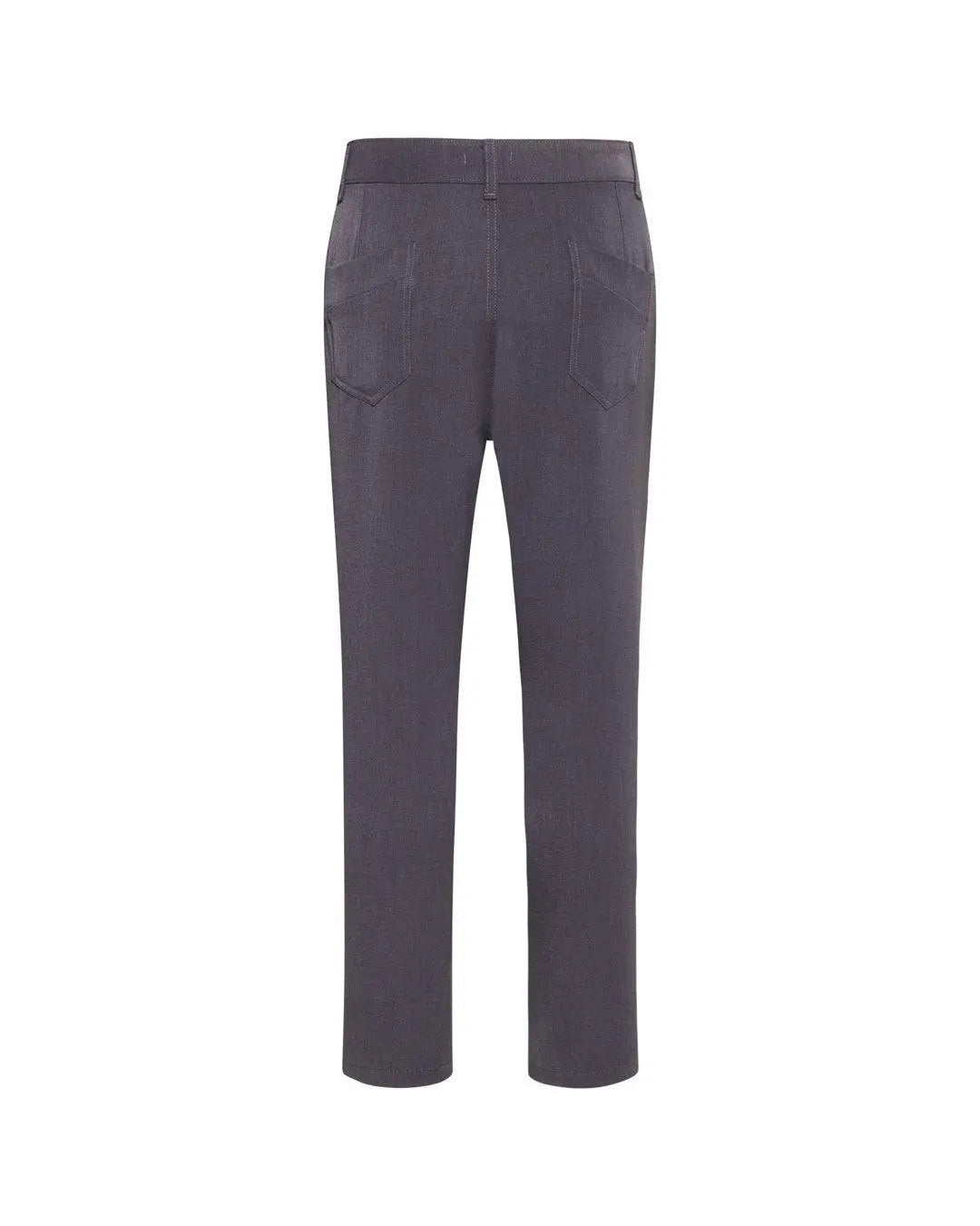 Pantalone pince GRIGIO IRONICA